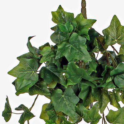 Künstliche Kletterpflanze Hedera Grün -Stecker L 70cm - Mica Decorations