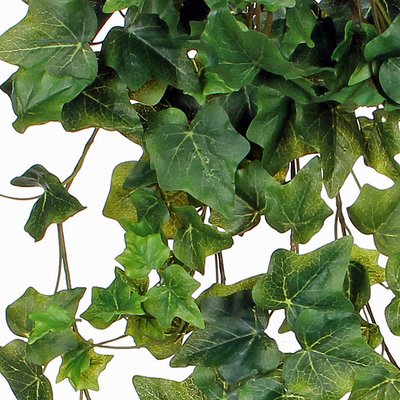 Künstliche Kletterpflanze Hedera Grün -Stecker L 70cm - Mica Decorations