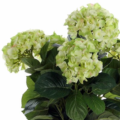 Mica Decorations Kunstplant Hortensia Groen / Crème - H 45cm - Terra sierpot - Mica Decorations