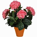 Mica Decorations Kunstplant Hortensia Roze - H 45cm - Terra sierpot - Mica Decorations