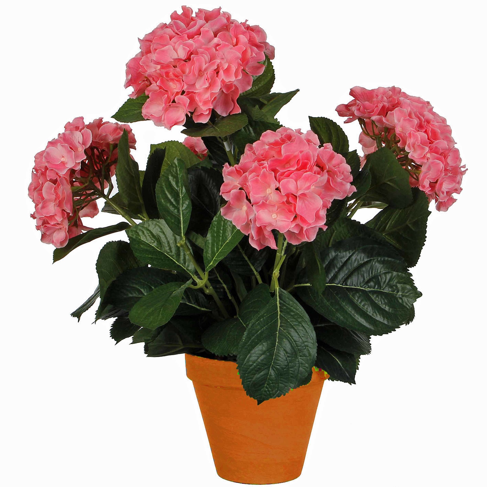 Shop Kunstplant Hortensia Roze - H - Terra sierpot - Mica Online - Plant Day