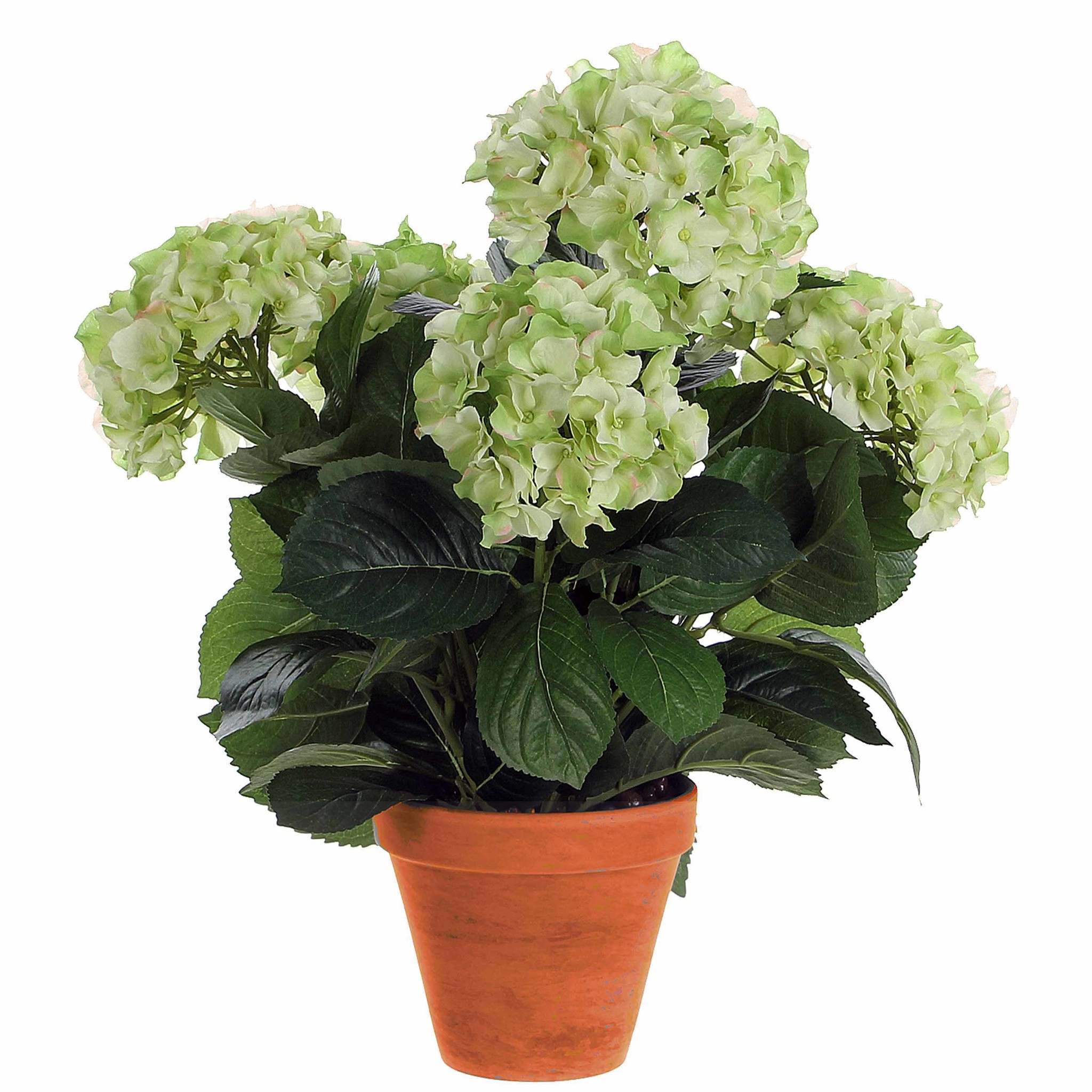 Shop Künstliche Pflanze Hortensie Grün / Creme - H 45cm - Keramiktopf - Mic  Online - Plant New Day