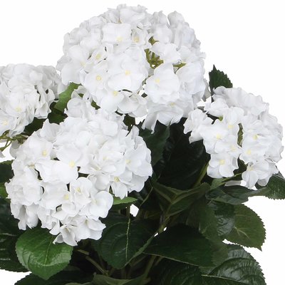 Mica Decorations Künstliche Pflanze Hortensie Weiß - H 45cm - Terra Keramiktopf - Mica Decorations