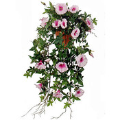 Mica Decorations Künstliche Pflanze Petunie Rosa - L 50cm - Terra topf - Mica Decorations