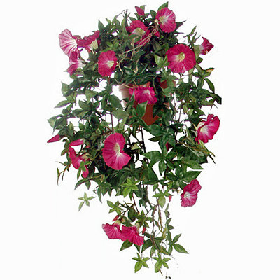 Mica Decorations Künstliche Pflanze Petunie Dunkelrosa - L 50cm - Terra topf - Mica Decorations