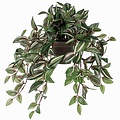 Kunstplant Tradescantia Groen-bont - L 45cm - Keramiek sierpot - Mica Decorations