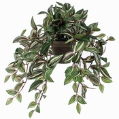 Künstliche Pflanze Tradescantia Grünbunt - L 45cm - Keramiktopf - Mica Decorations