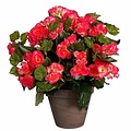 Kunstplant Begonia Donker roze - H 37cm - Keramiek sierpot - Mica Decorations