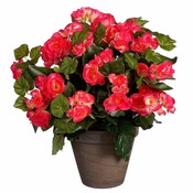 Kunstplant Begonia Donker roze - H 37cm - Keramiek sierpot - Mica Decorations