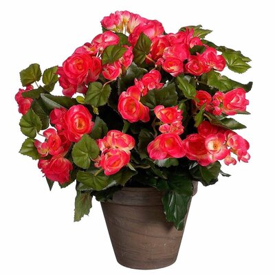 Kunstplant Begonia Donker roze - H 37cm - Keramiek sierpot - Mica Decorations