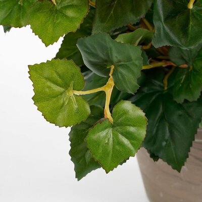 Künstliche Pflanze Begonie Dunkelrosa - H 37cm - Keramiktopf - Mica Decorations