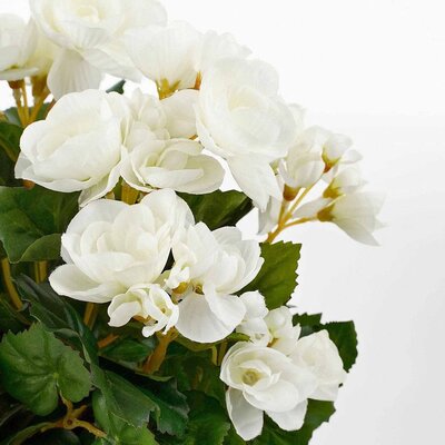 Künstliche Pflanze Begonie Weiß - H 37cm - Keramiktopf - Mica Decorations