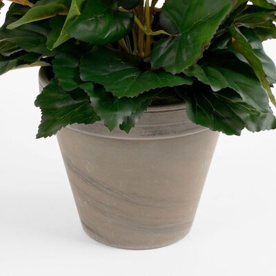 Kunstplant Begonia Geel - H 37cm - Keramiek sierpot - Mica Decorations