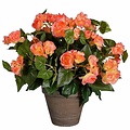 Kunstplant Begonia Zalm - H 37cm - Keramiek sierpot - Mica Decorations