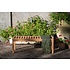 Teakhouten bank Comfort - 2-zits - WOOOD / Exotan