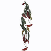 Künstliche Kletterpflanze Begonia Maculata Dunkelgrün - Stecker L 115cm - Mica Decorations