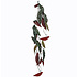 Künstliche Kletterpflanze Begonia Maculata Dunkelgrün - Stecker L 115cm - Mica Decorations