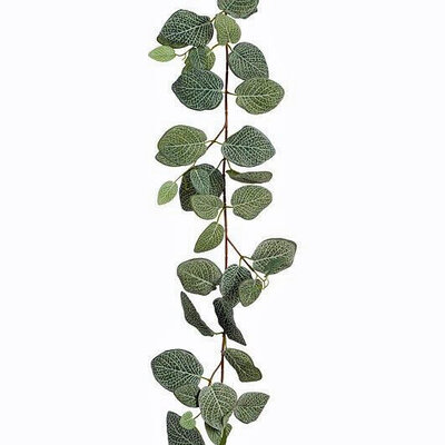 Kunstplant Fittonia Groen - Slinger - L180cm - Mica Decorations