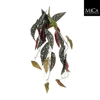 Künstliche Kletterpflanze Begonia Maculata Dunkelgrün - Stecker L 80cm - Mica Decorations