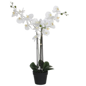Kunstplant Orchidee Phalaenopsis Wit - H 79cm - Kunststof sierpot - Mica Decorations