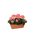 Kunstplant Geranium Zalmroze - H 40cm - Zandcement sierpot - Mica Decorations