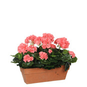 Kunstplant Geranium Zalmroze - H 40cm - Zandcement sierpot - Mica Decorations