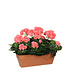 Kunstplant Geranium Zalmroze - H 40cm - Zandcement sierpot - Mica Decorations