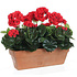 Kunstplant Geranium Rood - H 40cm - Zandcement sierpot - Mica Decorations