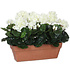 Kunstplant Geranium Wit - H 40cm - Zandcement sierpot - Mica Decorations