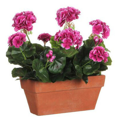 Künstliche Pflanze Geranie Violett - H 40cm - Sandzementtopf - Mica Decorations