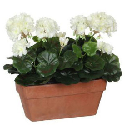 Kunstplant Geranium Wit - H 40cm - Zandcement sierpot - Mica Decorations