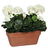 Kunstplant Geranium Wit - H 40cm - Zandcement sierpot - Mica Decorations