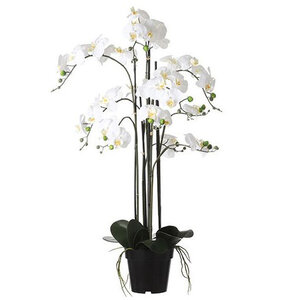 Kunstplant Orchidee Phalaenopsis Crème - Wit - H  97cm - Kunststof sierpot - Mica Decorations