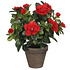 Künstliche Pflanze Azalee Rot - H 27cm - Terrakottatopf - Mica Decorations