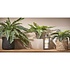 Kunstplant Varen Groen - H 38cm - Terracotta sierpot - Mica Decorations