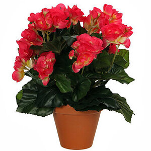 Kunstplant Begonia Donkerroze - H 30cm - Terracotta sierpot - Mica Decorations