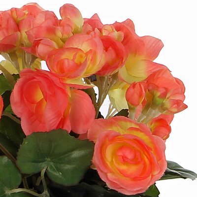Kunstplant Begonia Zalm - H 30cm - Terracotta sierpot - Mica Decorations