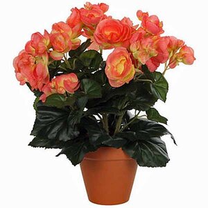 Kunstplant Begonia Zalm - H 30cm - Terracotta sierpot - Mica Decorations