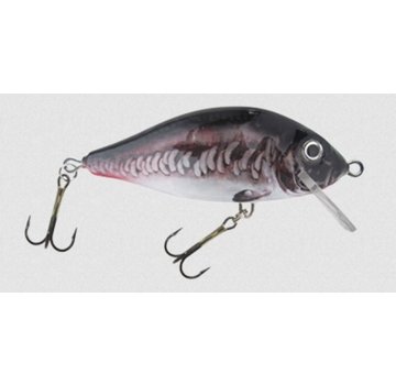 Prussian Carp