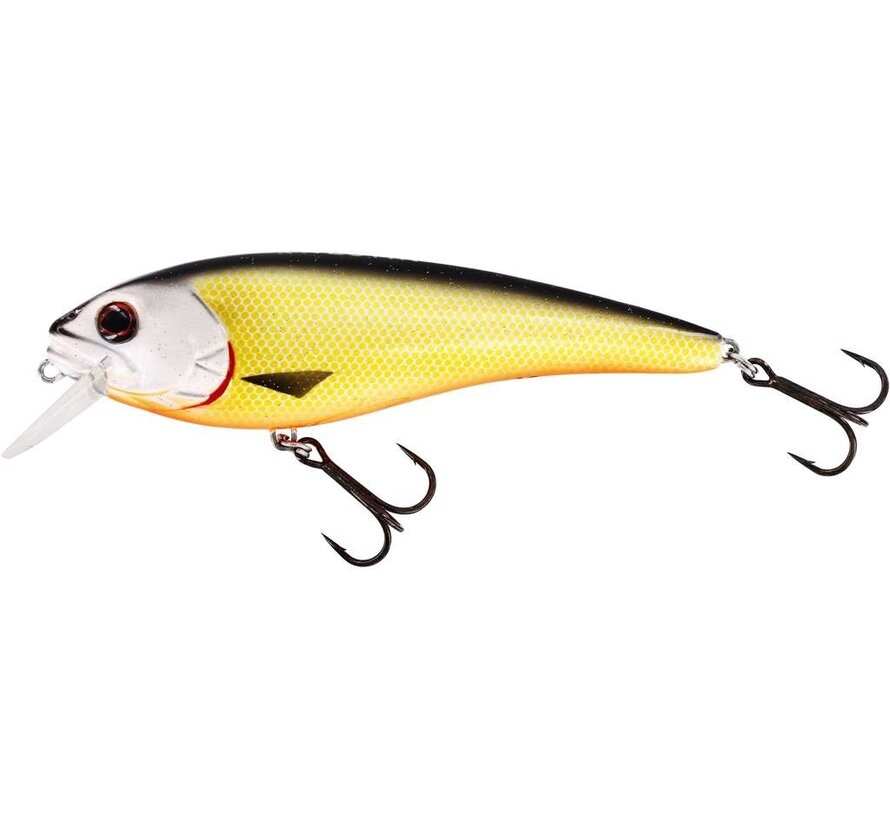 Rawbite Crankbait (15cm) (61gr)