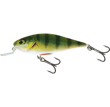 SALMO SALMO EXECUTOR 12cm