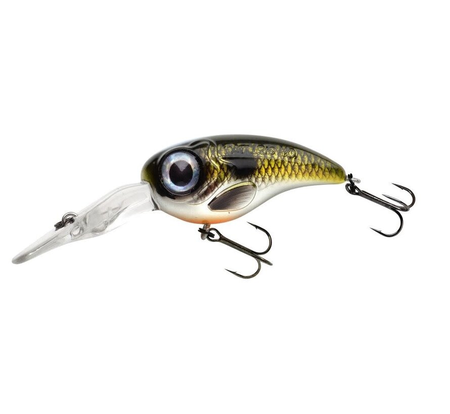 FAT-IRIS DR (4cm) (6,2gr)