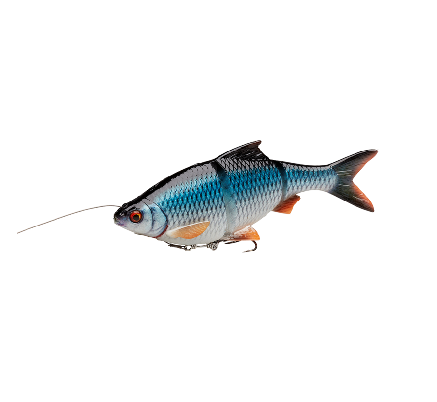 4D Line Thru Roach (18cm) (80gr)