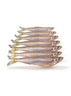 PREBAITS Spiering Klein - Vacuüm Verpakt