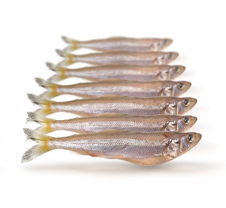 Spiering Klein - Vacuüm Verpakt