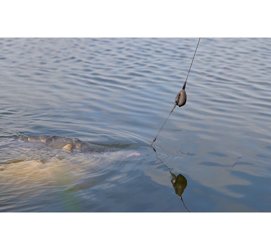 CS System Actionpack Weed