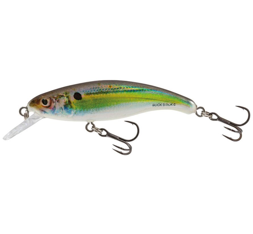 SALMO SLICK STICK 6cm