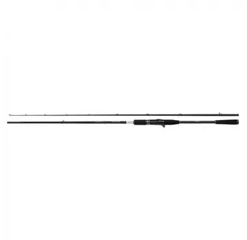 SHIMANO Yasei BB Pike XH Cast (2.30m) (30-90gr)