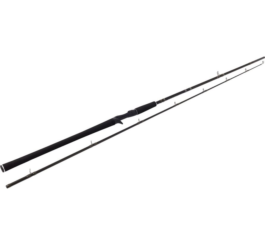 W2 Powercast-T (2,48m) (20-80gr)