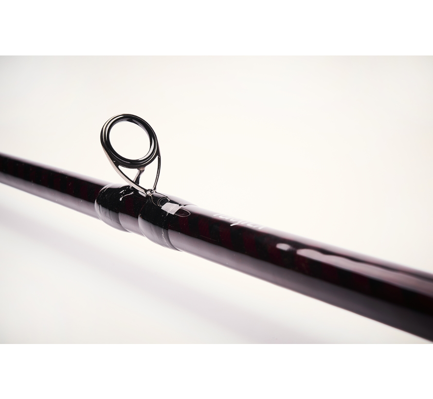 Alpha SG6 Monster Bait (2,38m) (60-120gr)